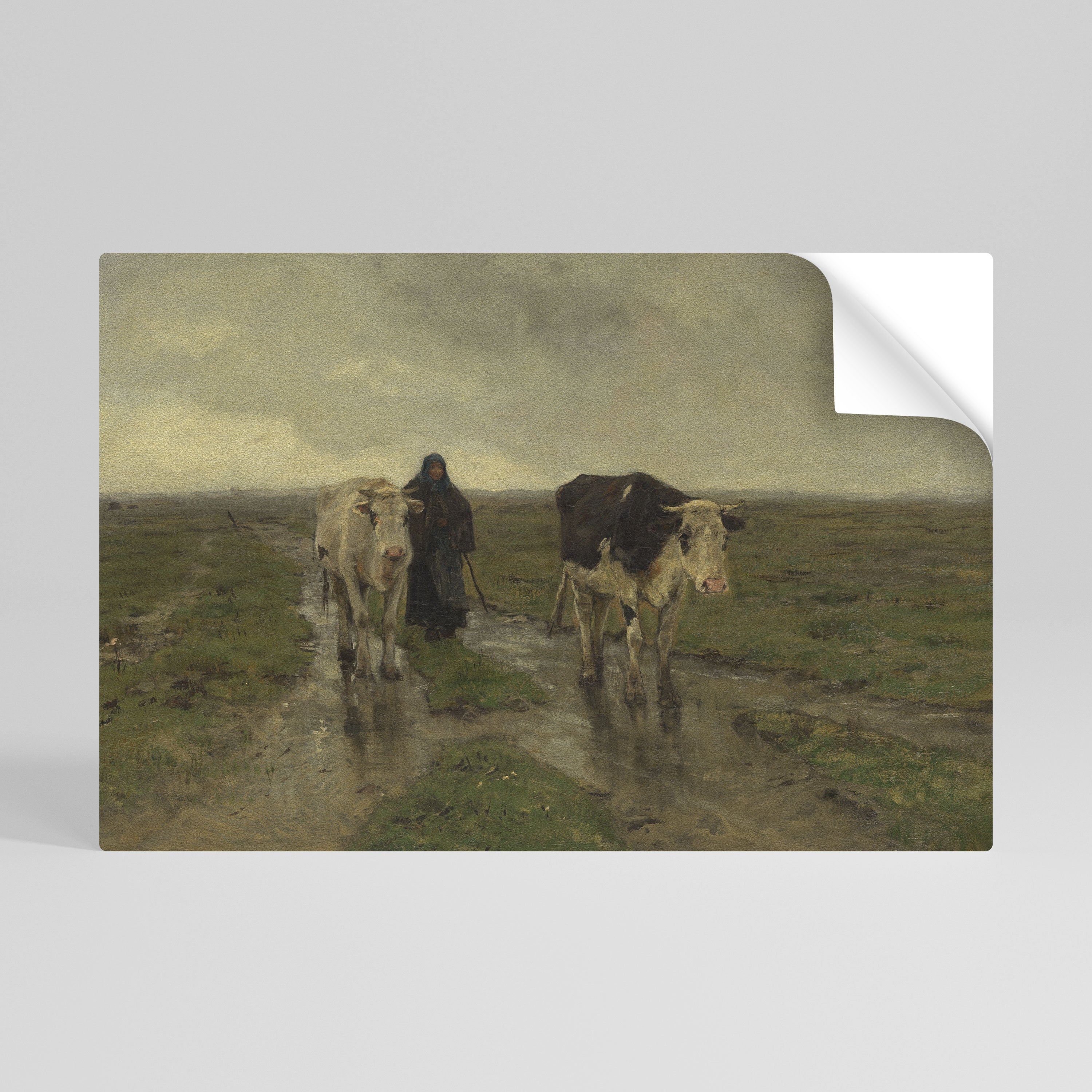 RAINY REFLECTIONS Póster Autocolante Horizontal