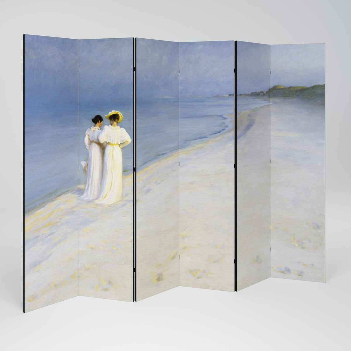 SUMMER EVENING ON SKAGEN'S BEACH 6-Panel Room Divider