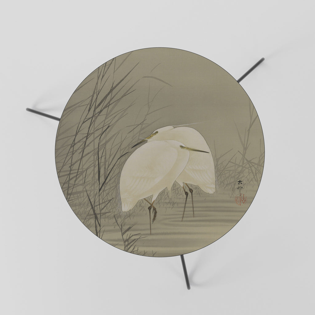 ZILVERREIGERS IN MOERAS Mesa de Centro 60