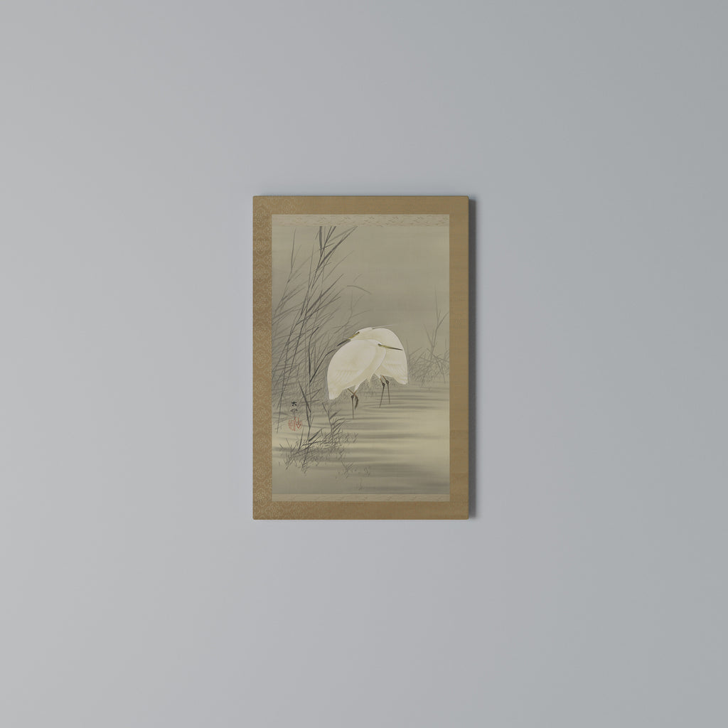 ZILVERREIGERS IN MOERAS Quadro em tela vertical
