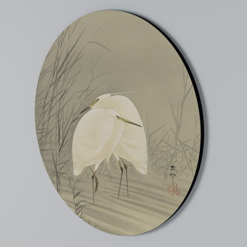 ZILVERREIGERS IN MOERAS Arte de Parede Redonda