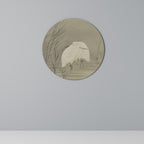 ZILVERREIGERS IN MOERAS Quadro Redondo Decorativo