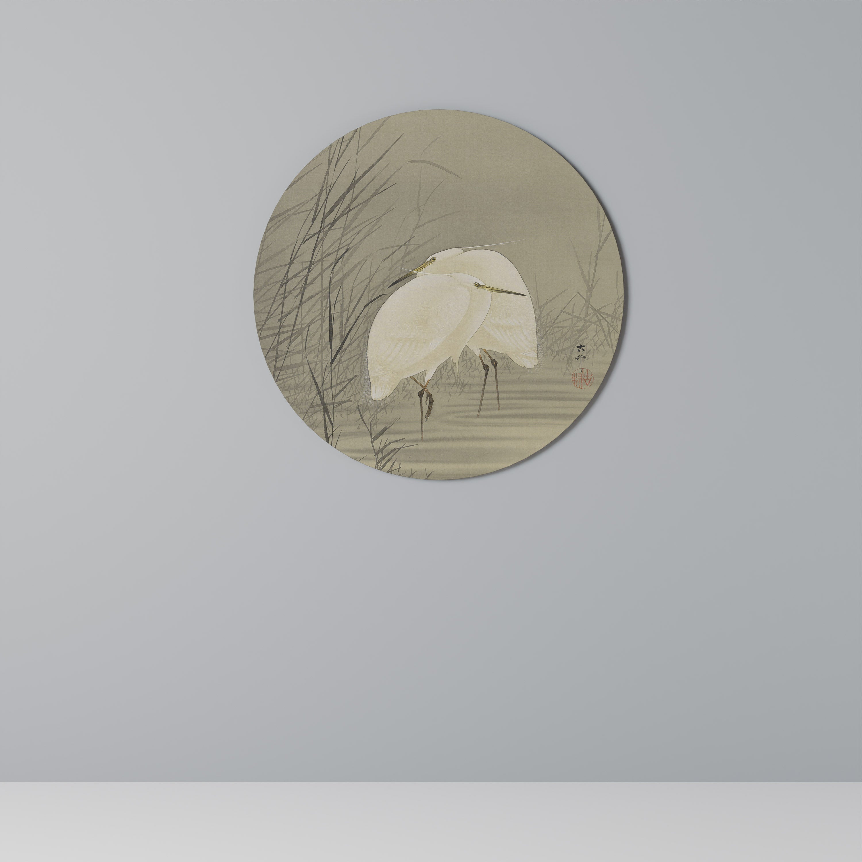ZILVERREIGERS IN MOERAS Quadro Redondo Decorativo