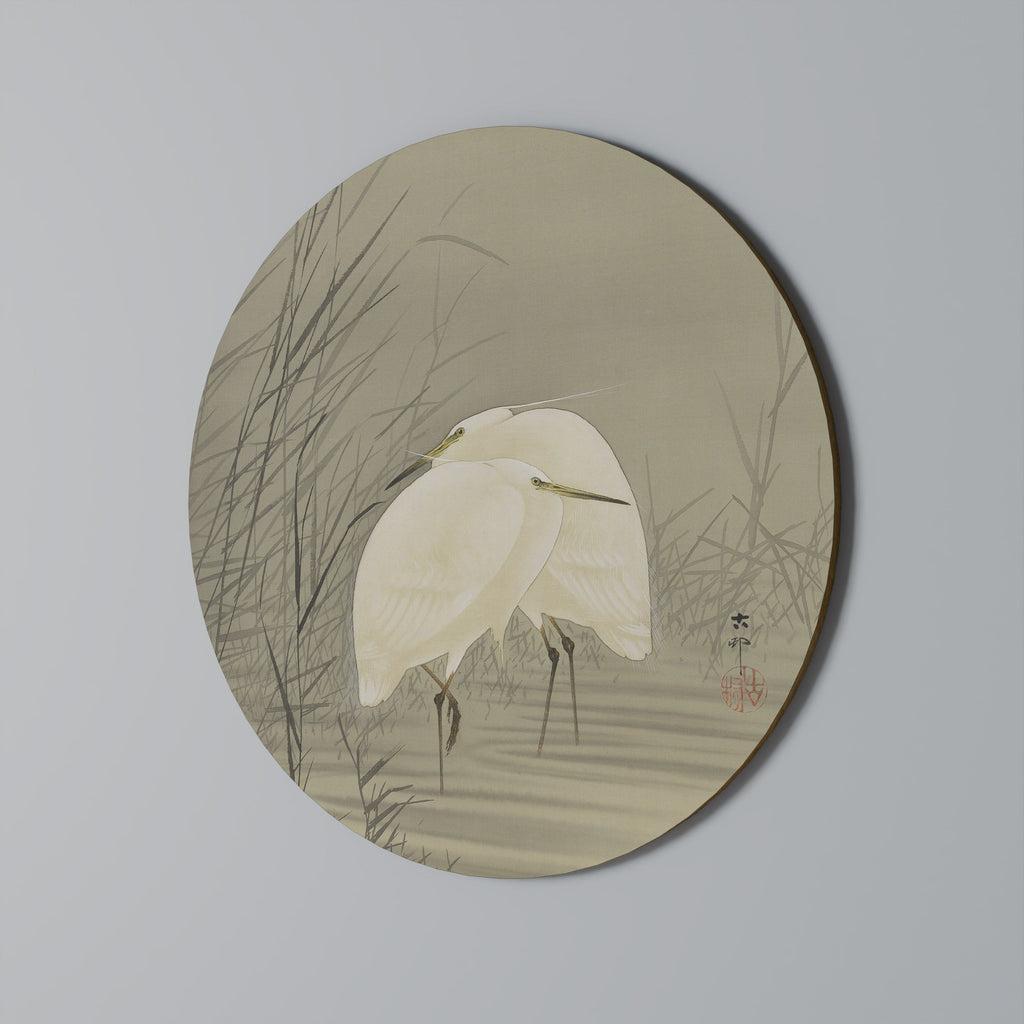 ZILVERREIGERS IN MOERAS Quadro Redondo Decorativo