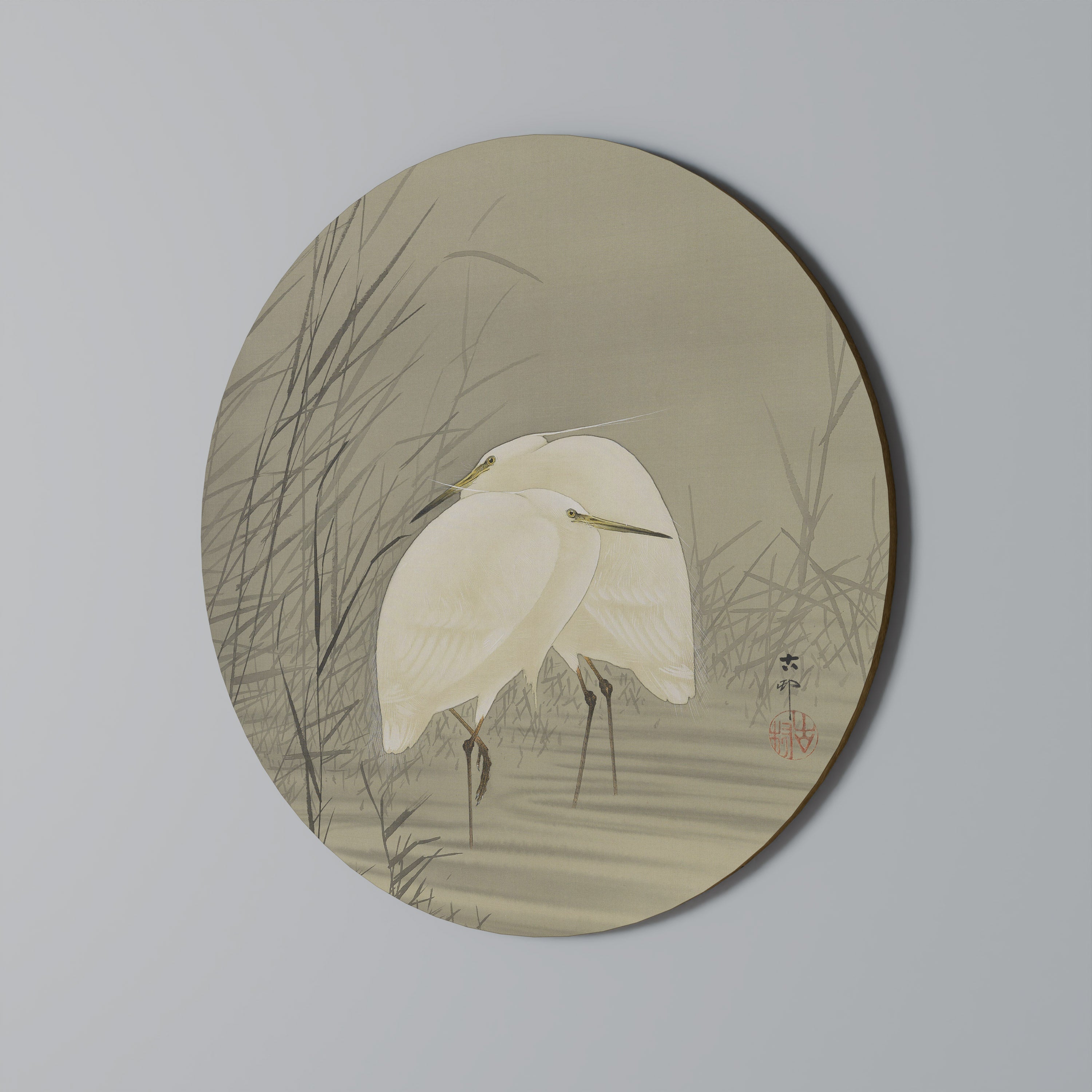 ZILVERREIGERS IN MOERAS Quadro Redondo Decorativo