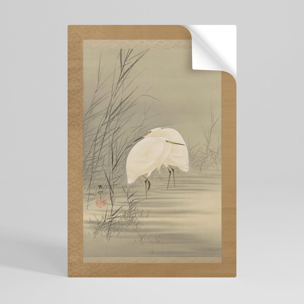 ZILVERREIGERS IN MOERAS Poster Vertical Autocolante