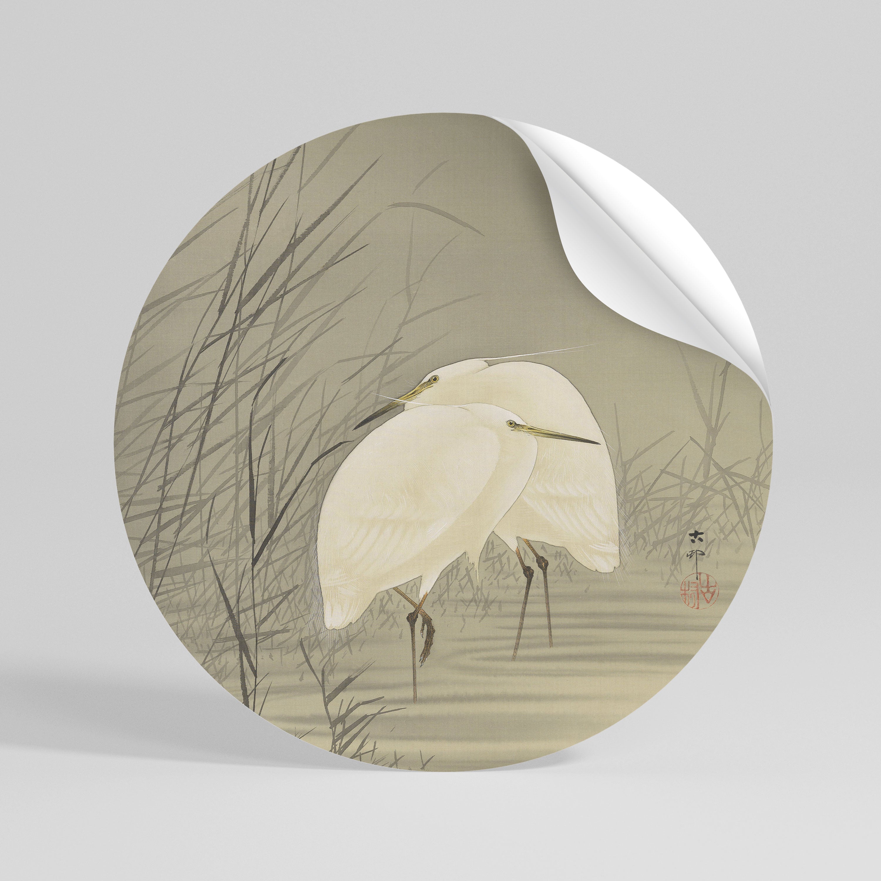 ZILVERREIGERS IN MOERAS - Autocolante Redondo Removível