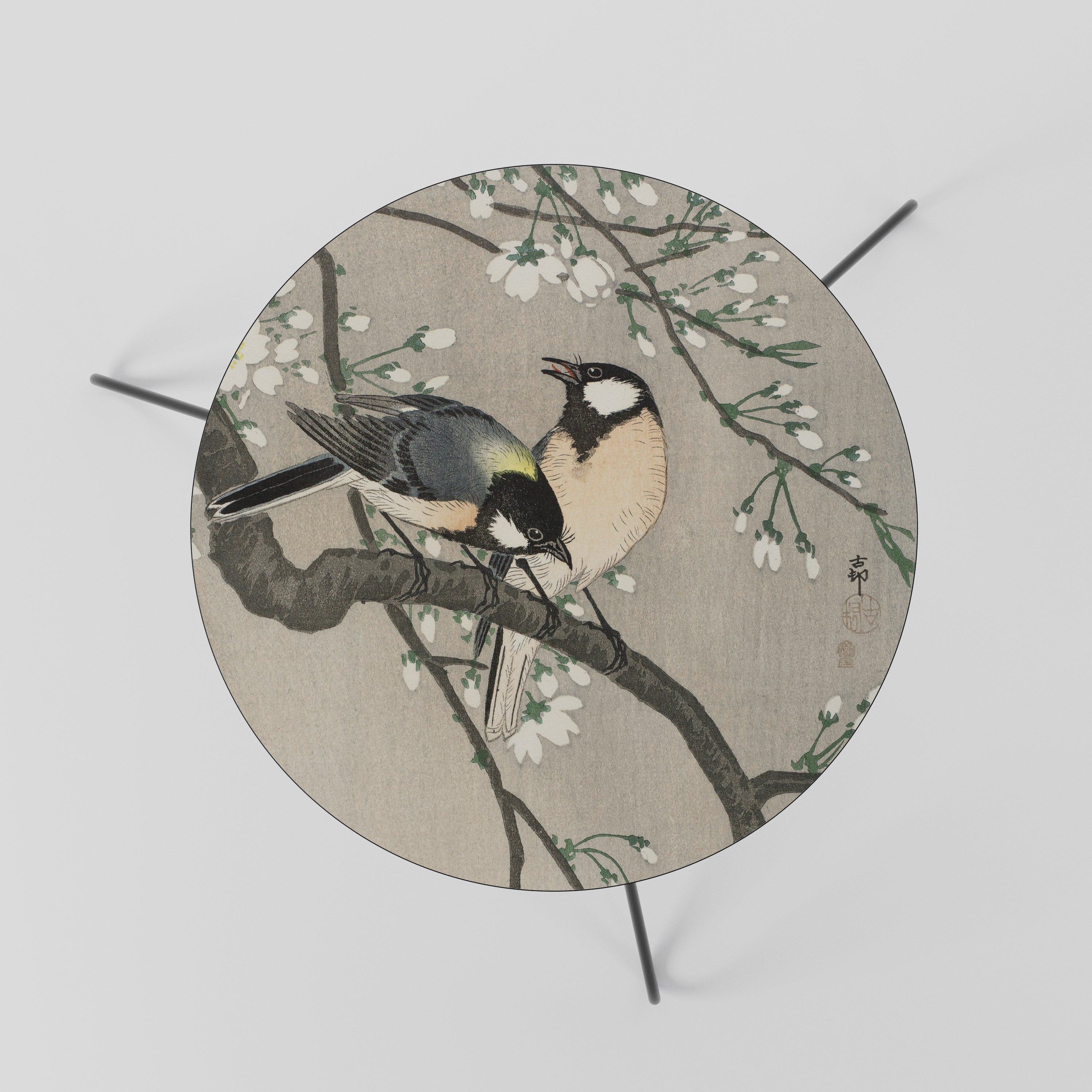 TITS ON CHERRY BRANCH Mesa de Centro 60