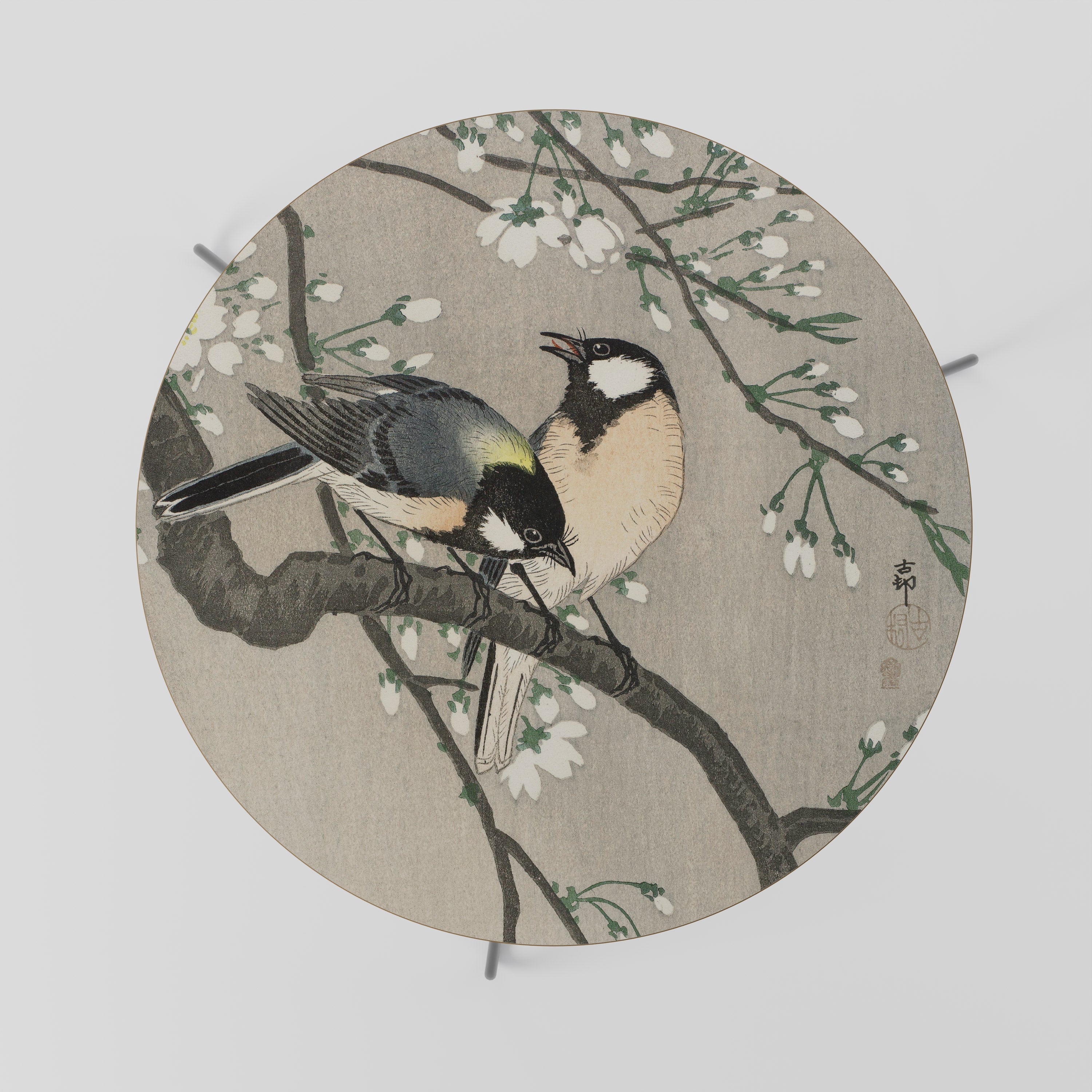 TITS ON CHERRY BRANCH Coffee Table 69