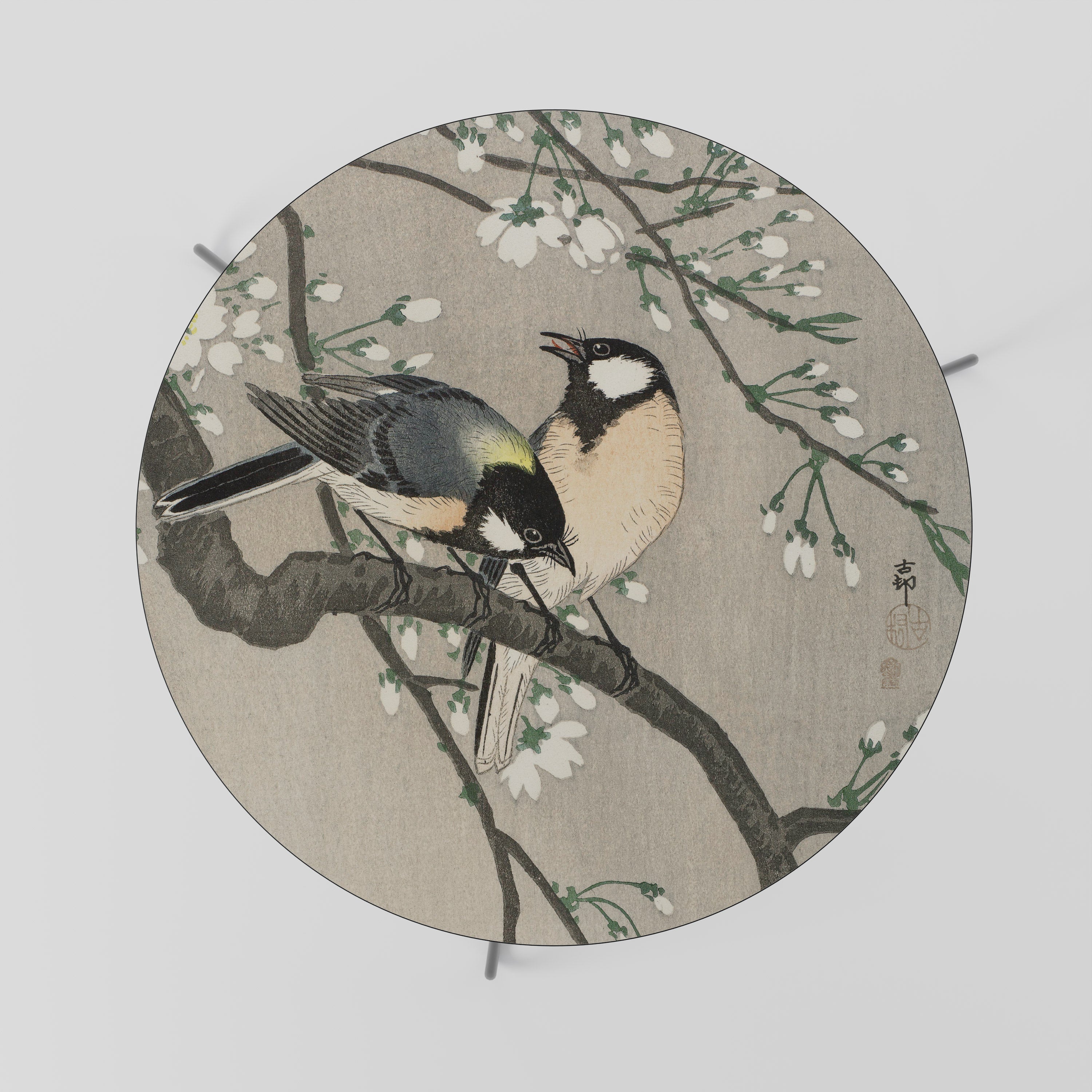 TITS ON CHERRY BRANCH Coffee Table 69