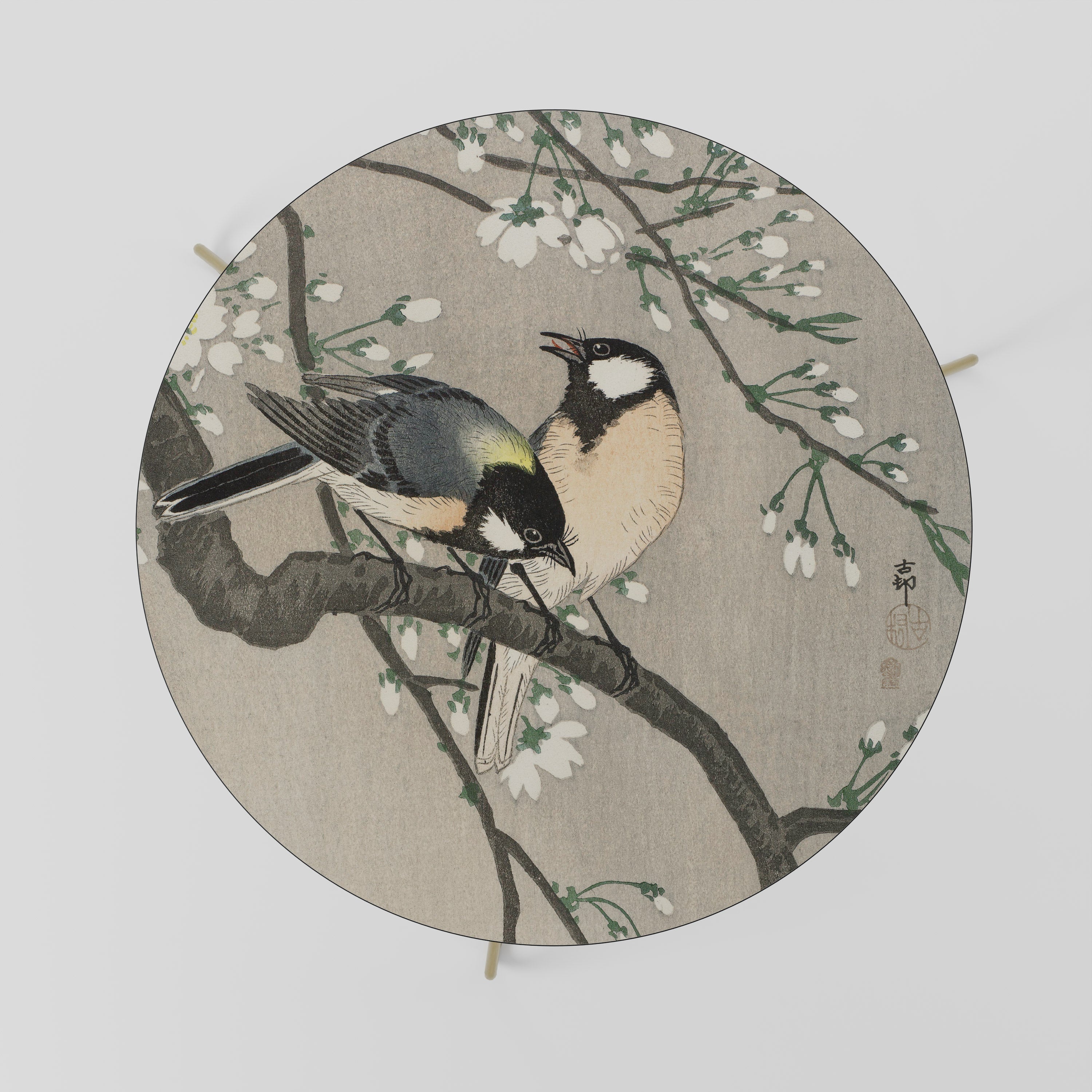 TITS ON CHERRY BRANCH Mesa de Centro 69