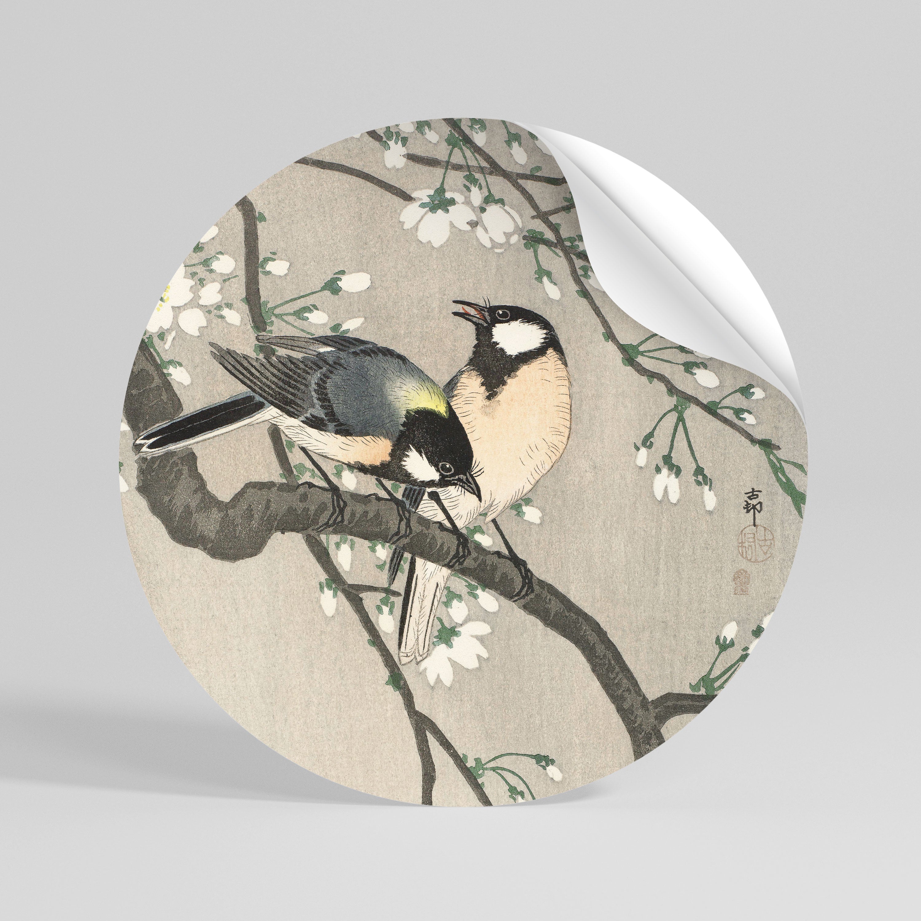 TITS ON CHERRY BRANCH - Autocolante Redondo Removível