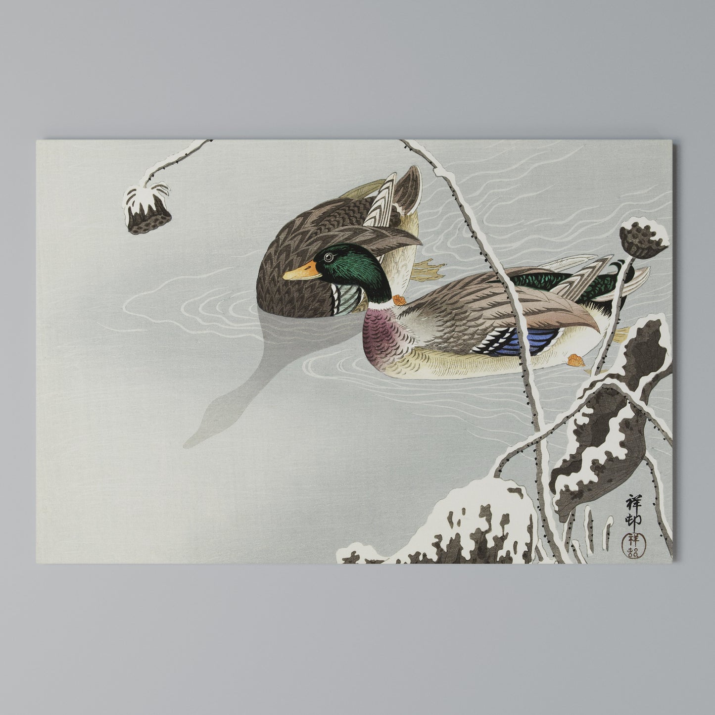 DANCE OF DUCKS Horizontal Canvas Print