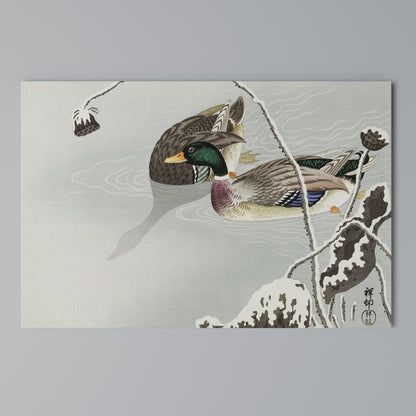 DANCE OF DUCKS Horizontal Canvas Print