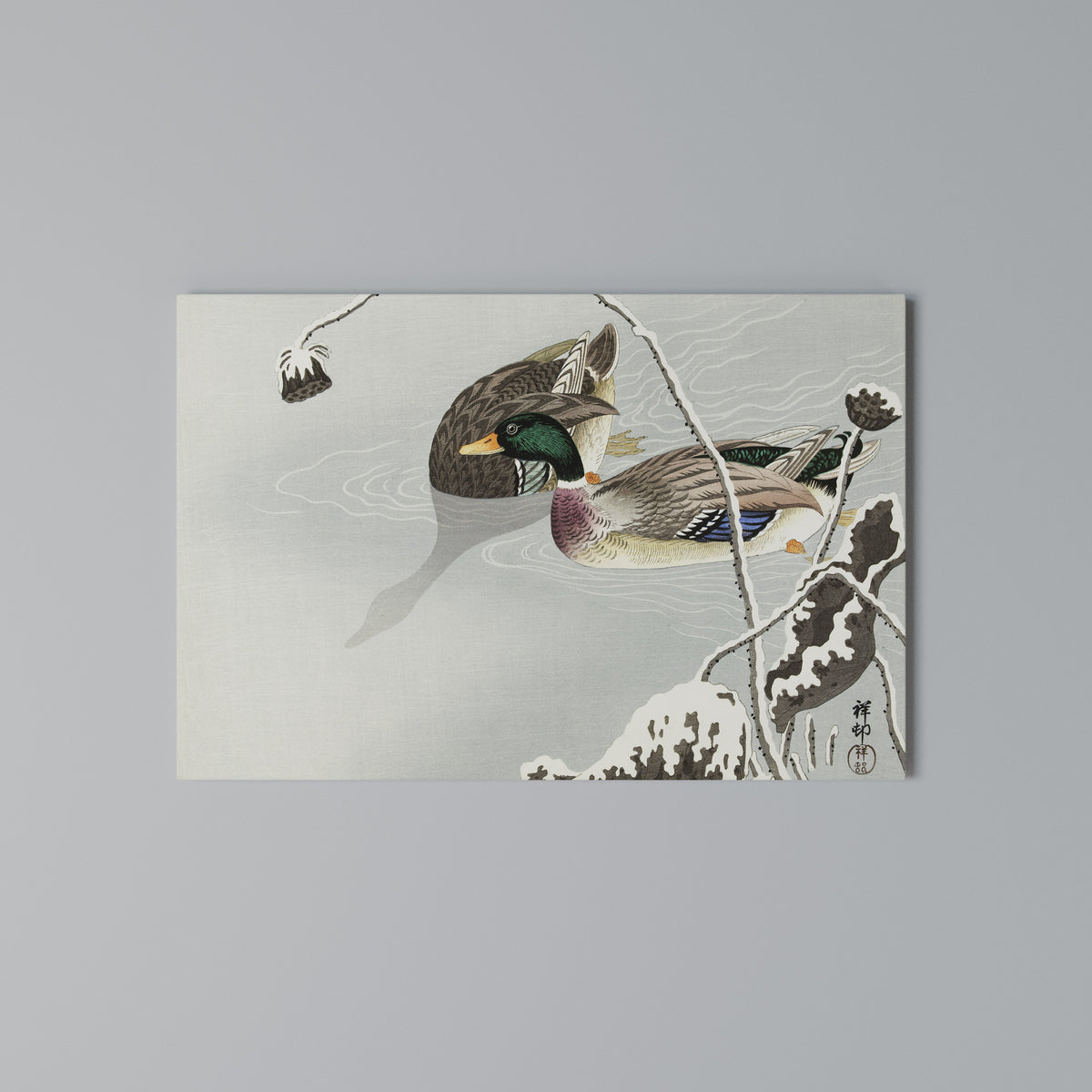 DANCE OF DUCKS Horizontal Canvas Print