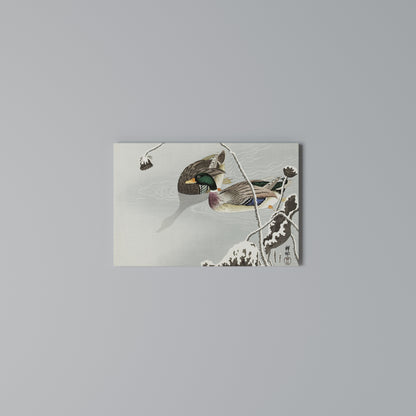 DANCE OF DUCKS Horizontal Canvas Print