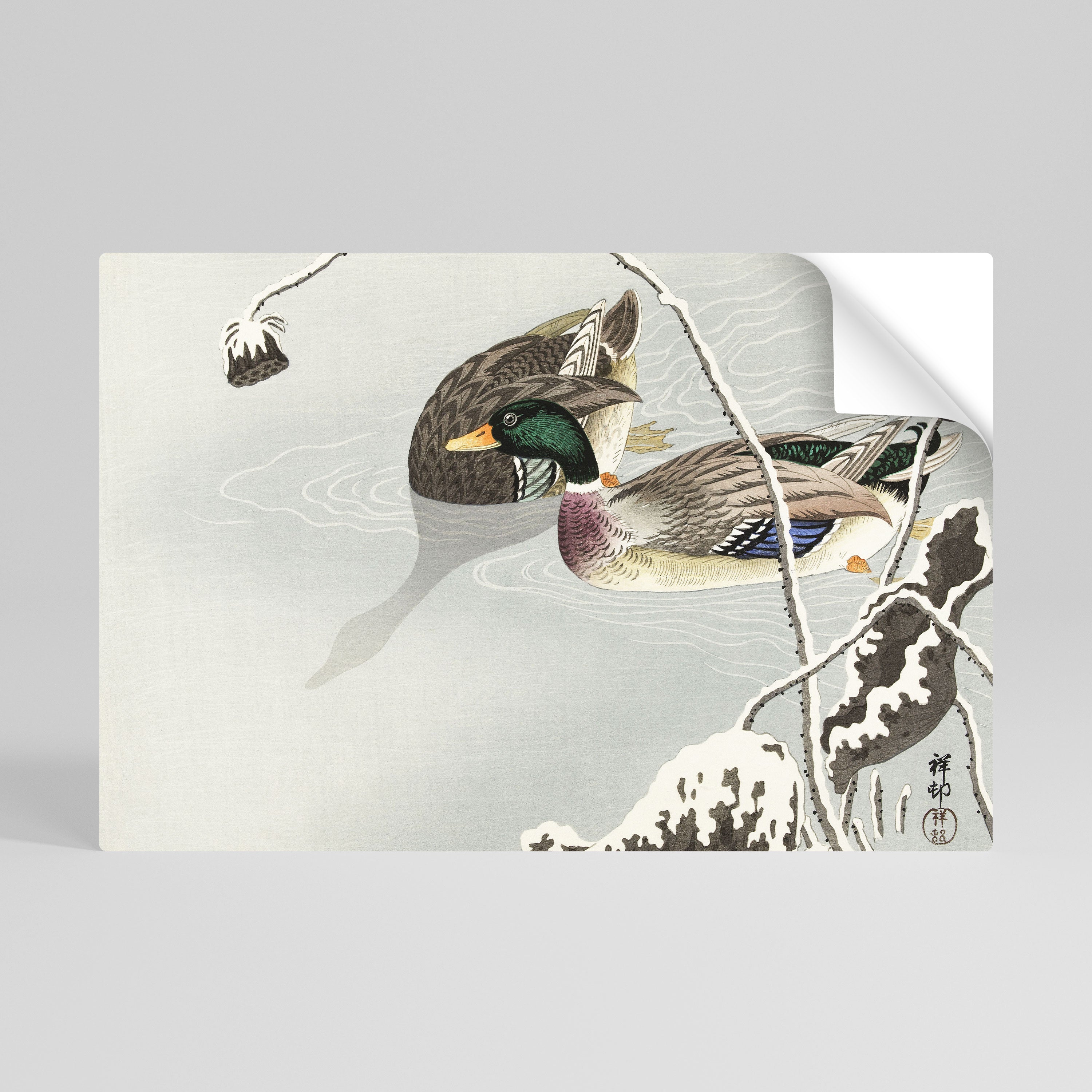 DANCE OF DUCKS Peel and Stick Horizontal Poster