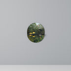 VIRGIN FOREST WITH SUNSET Prateleira Oval Decorativa em Acabamento Preto