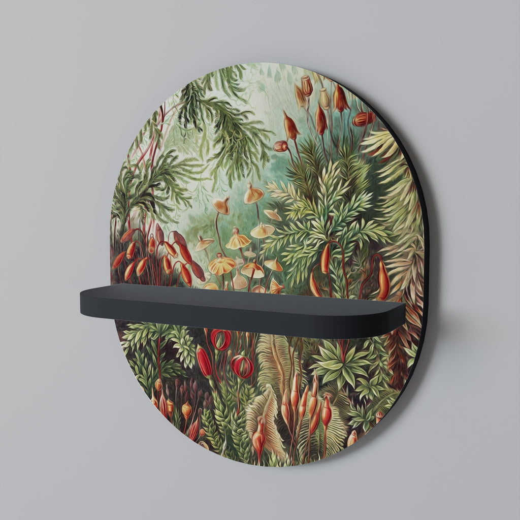 MUSCINAE LAUBMOOSE Prateleira Oval Decorativa em Acabamento Preto