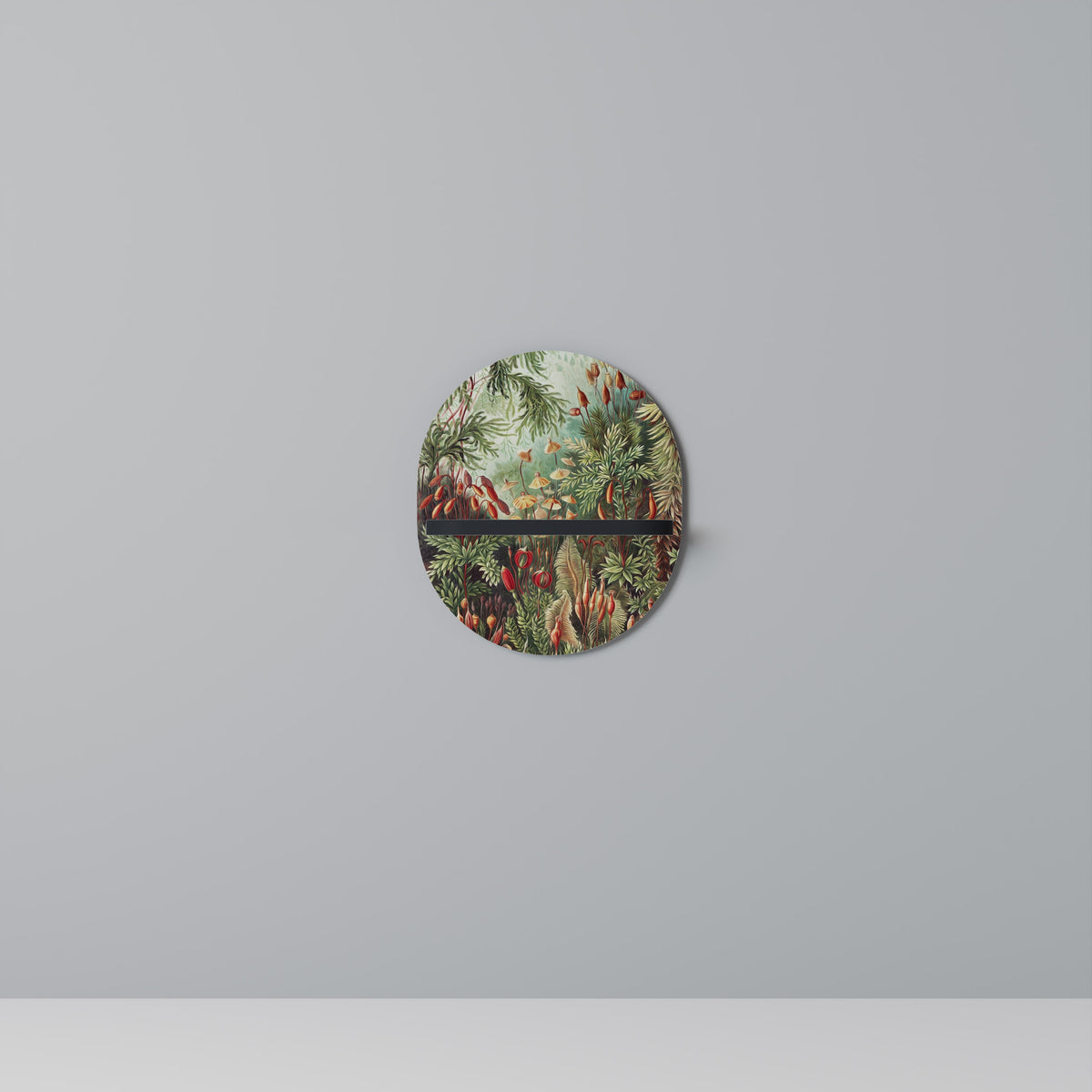 MUSCINAE LAUBMOOSE Prateleira Artística