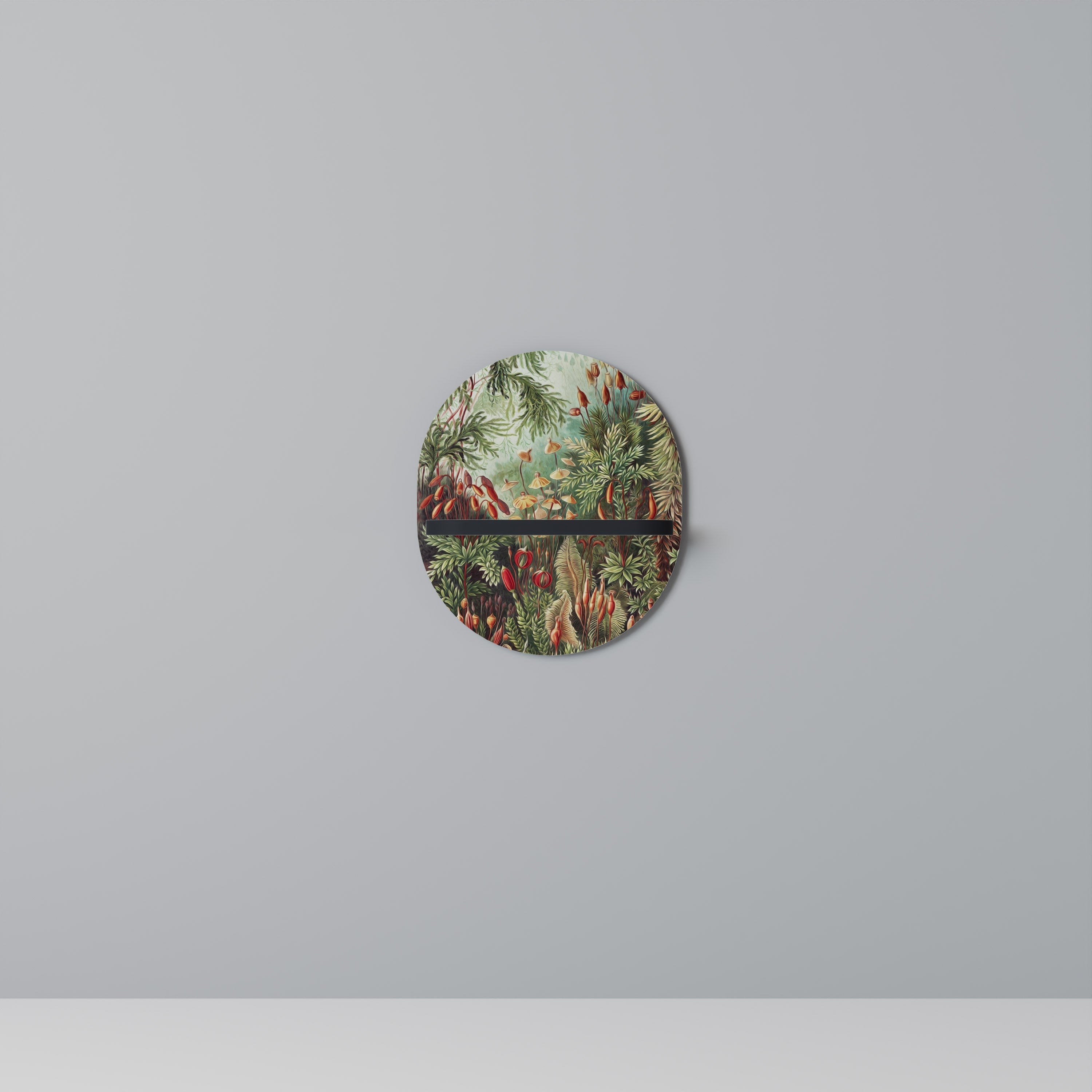 MUSCINAE LAUBMOOSE Prateleira Oval Decorativa em Acabamento Preto