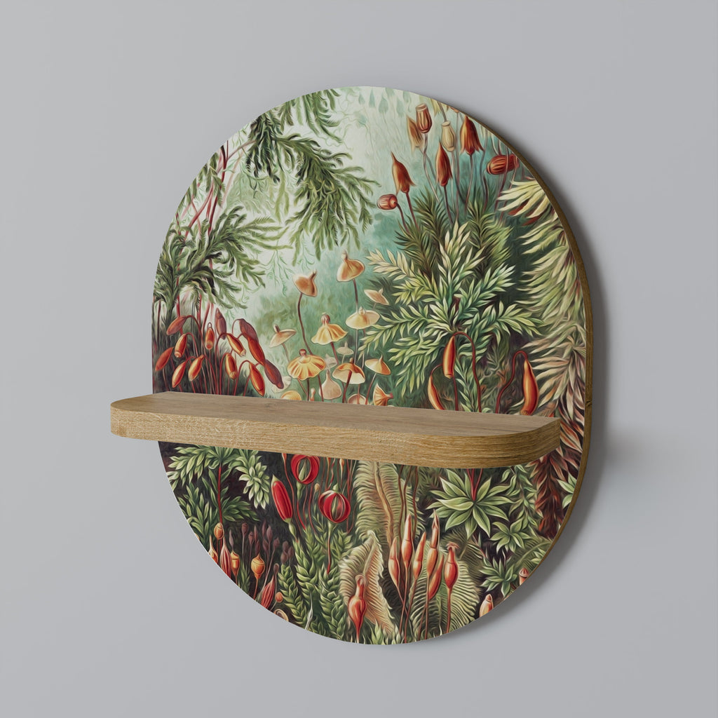 MUSCINAE LAUBMOOSE Prateleira Oval Decorativa em Efeito Carvalho