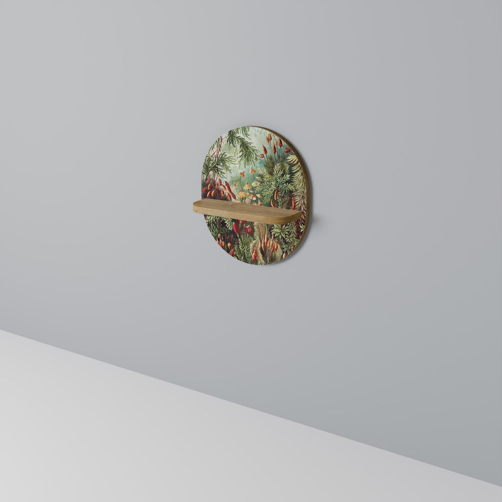 MUSCINAE LAUBMOOSE Prateleira Oval Decorativa em Efeito Carvalho