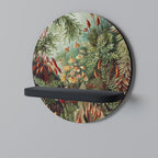 MUSCINAE LAUBMOOSE Prateleira Redonda Decorativa em Acabamento Preto