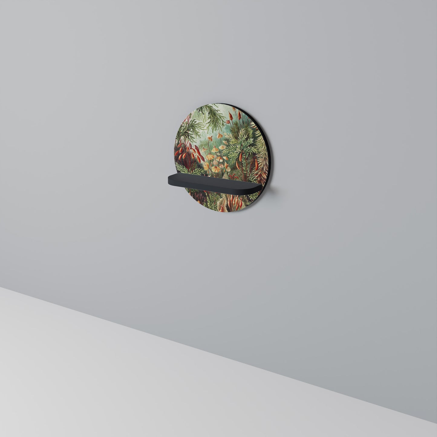 MUSCINAE LAUBMOOSE Art Shelf