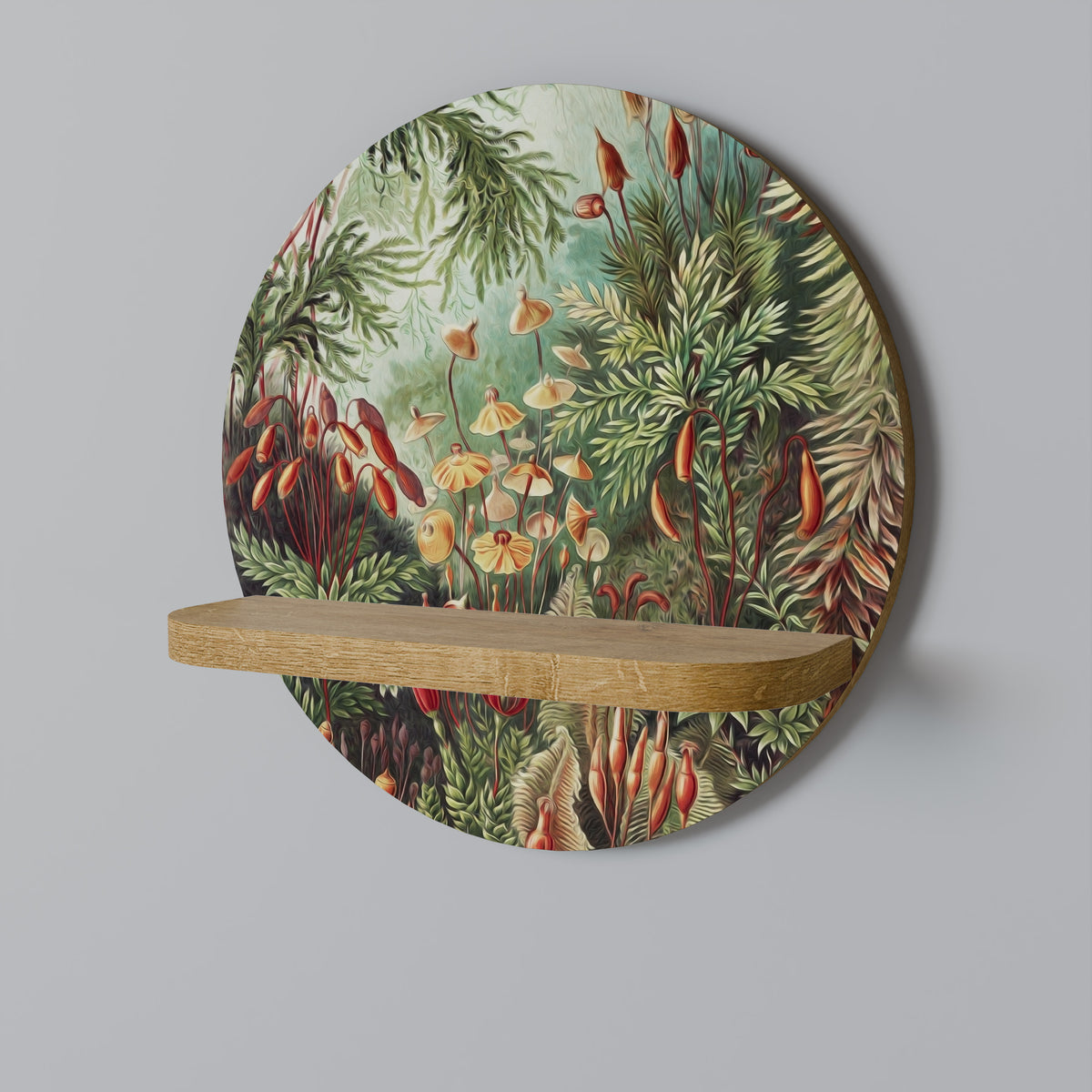 MUSCINAE LAUBMOOSE Prateleira Artística