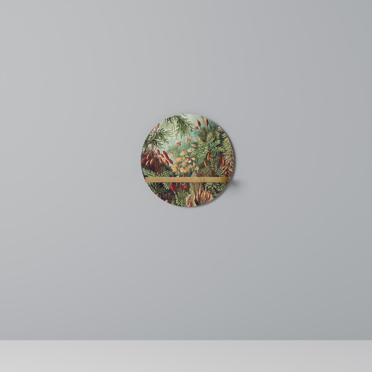 MUSCINAE LAUBMOOSE Prateleira Artística