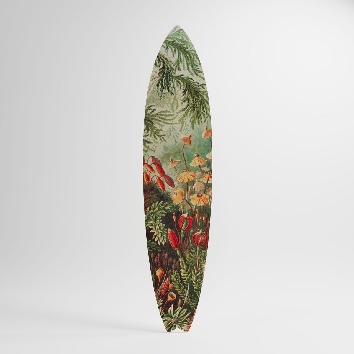 MUSCINAE LAUBMOOSE Painel Decorativo Prancha de Surf