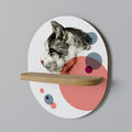 BUBBLE CAT SKETCH Prateleira Oval Decorativa em Efeito Carvalho