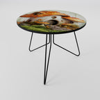 MYSTIC TOADSTOOL Coffee Table