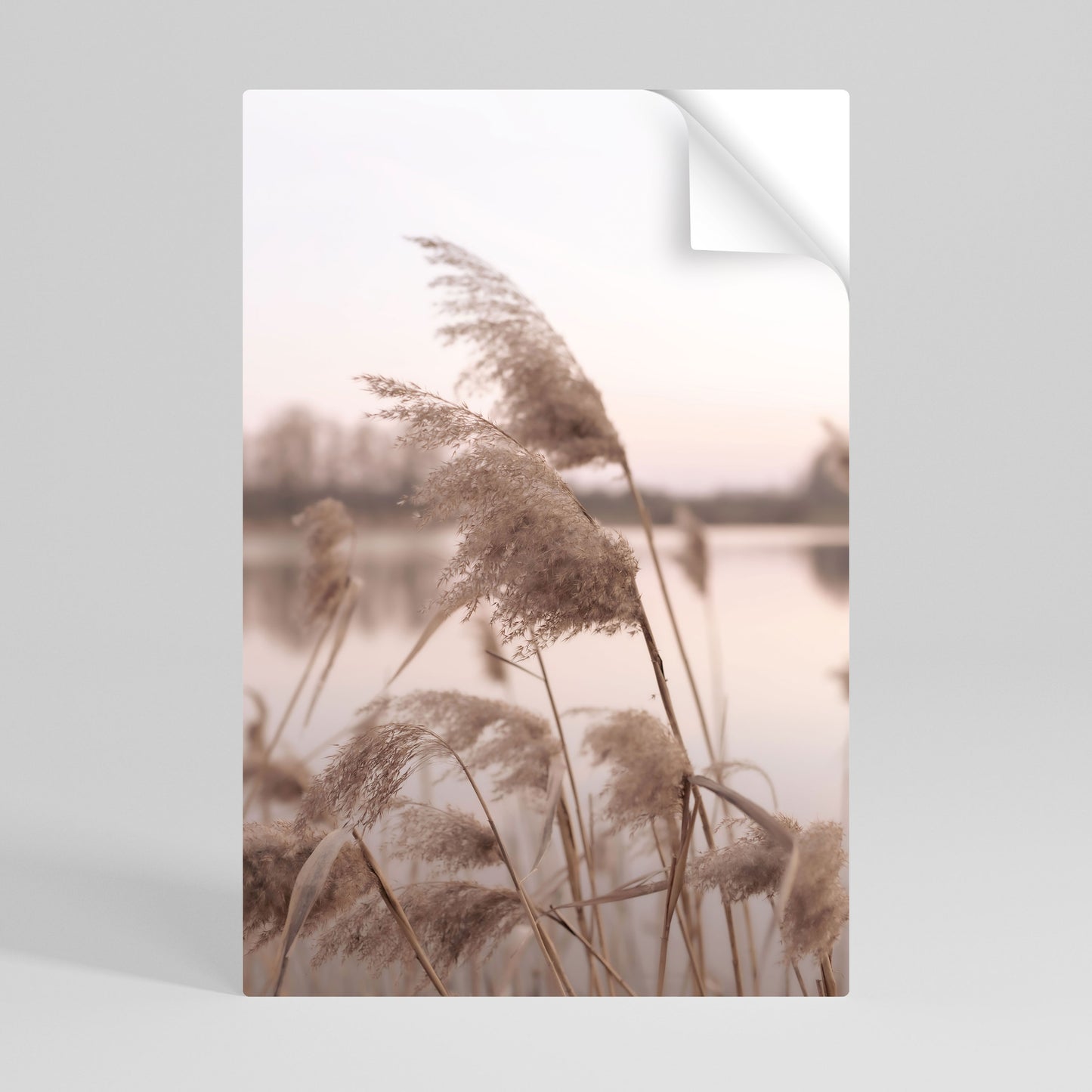 GENTLE BREEZE Póster Autocolante Vertical