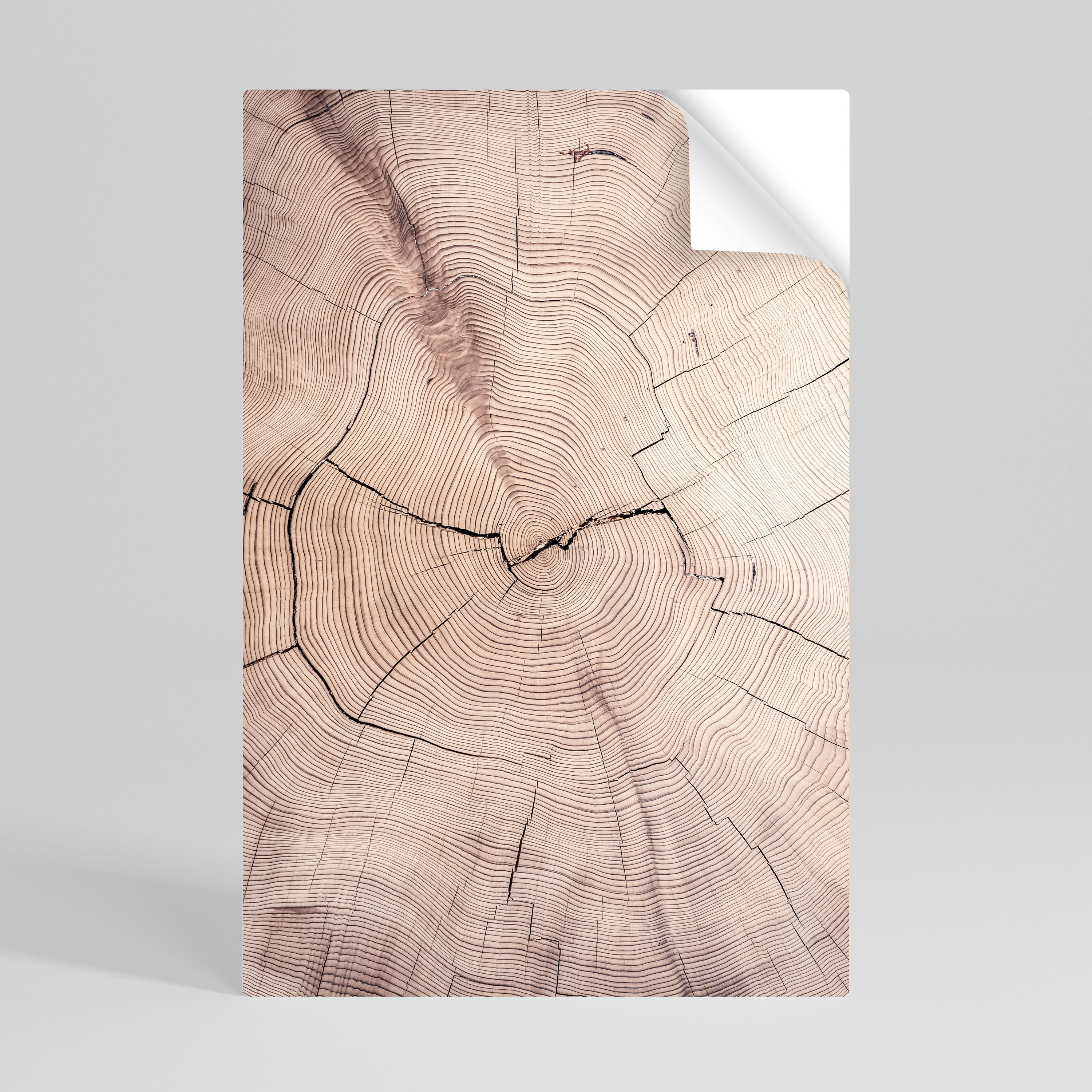 TIMEWORN RHYTHM Peel and Stick Vertical Poster