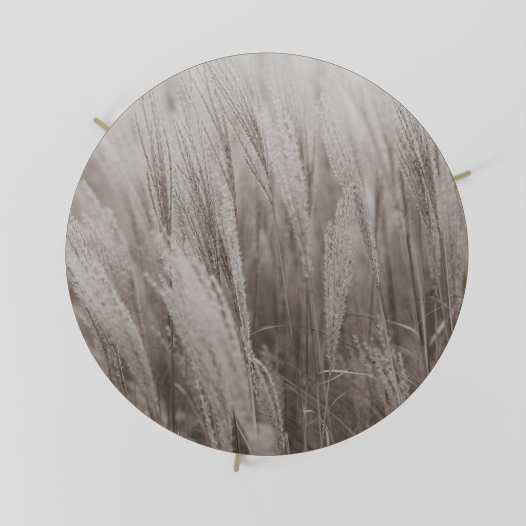 WHISPERS OF GRASS Mesa de Centro 69