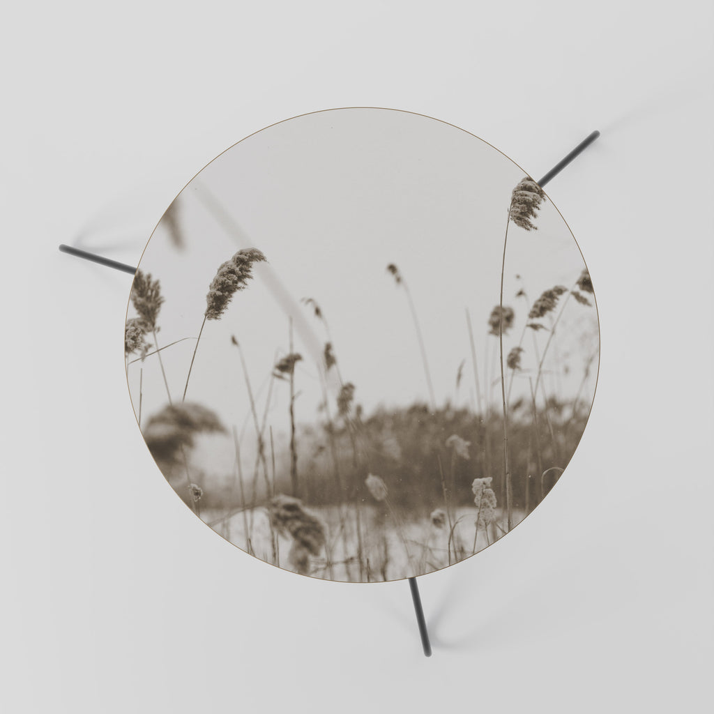 TIMELESS TUSSOCKS Mesa de Centro 60