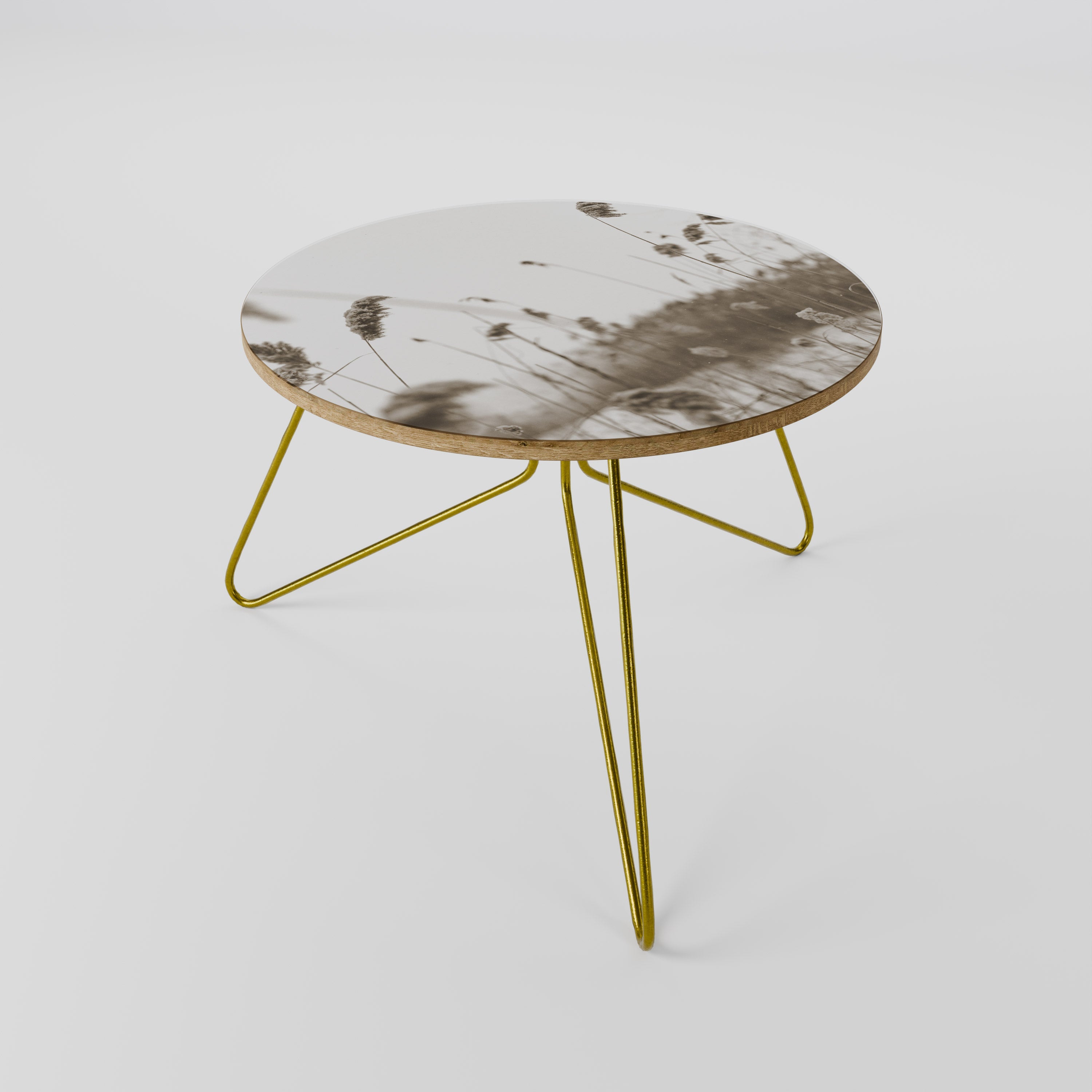 TIMELESS TUSSOCKS Mesa de Centro 60