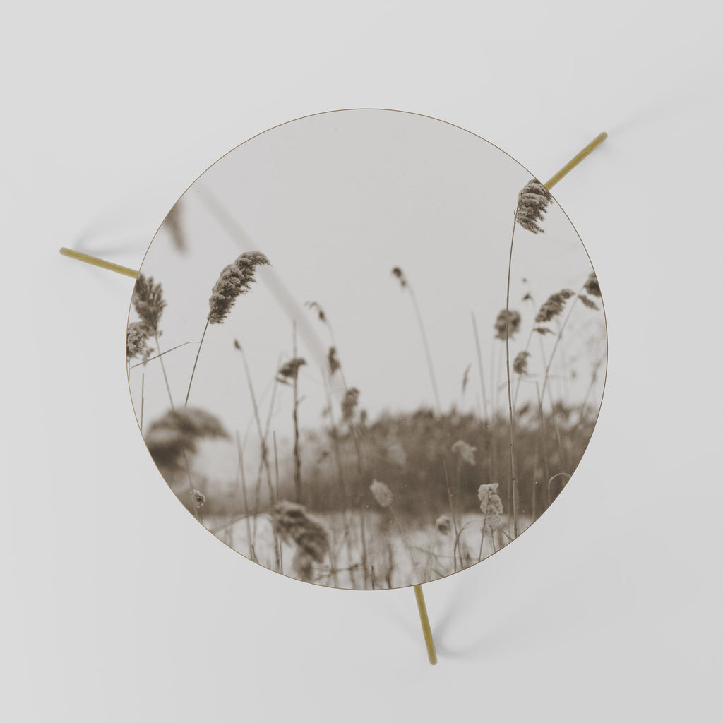 TIMELESS TUSSOCKS Mesa de Centro 60