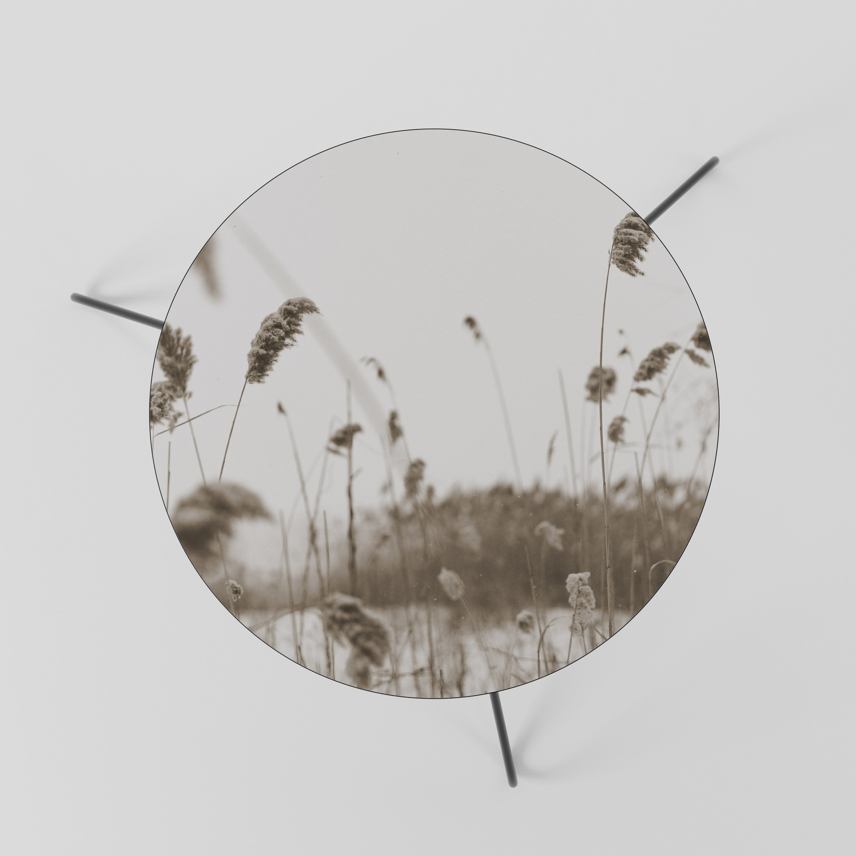 TIMELESS TUSSOCKS Mesa de Centro 60