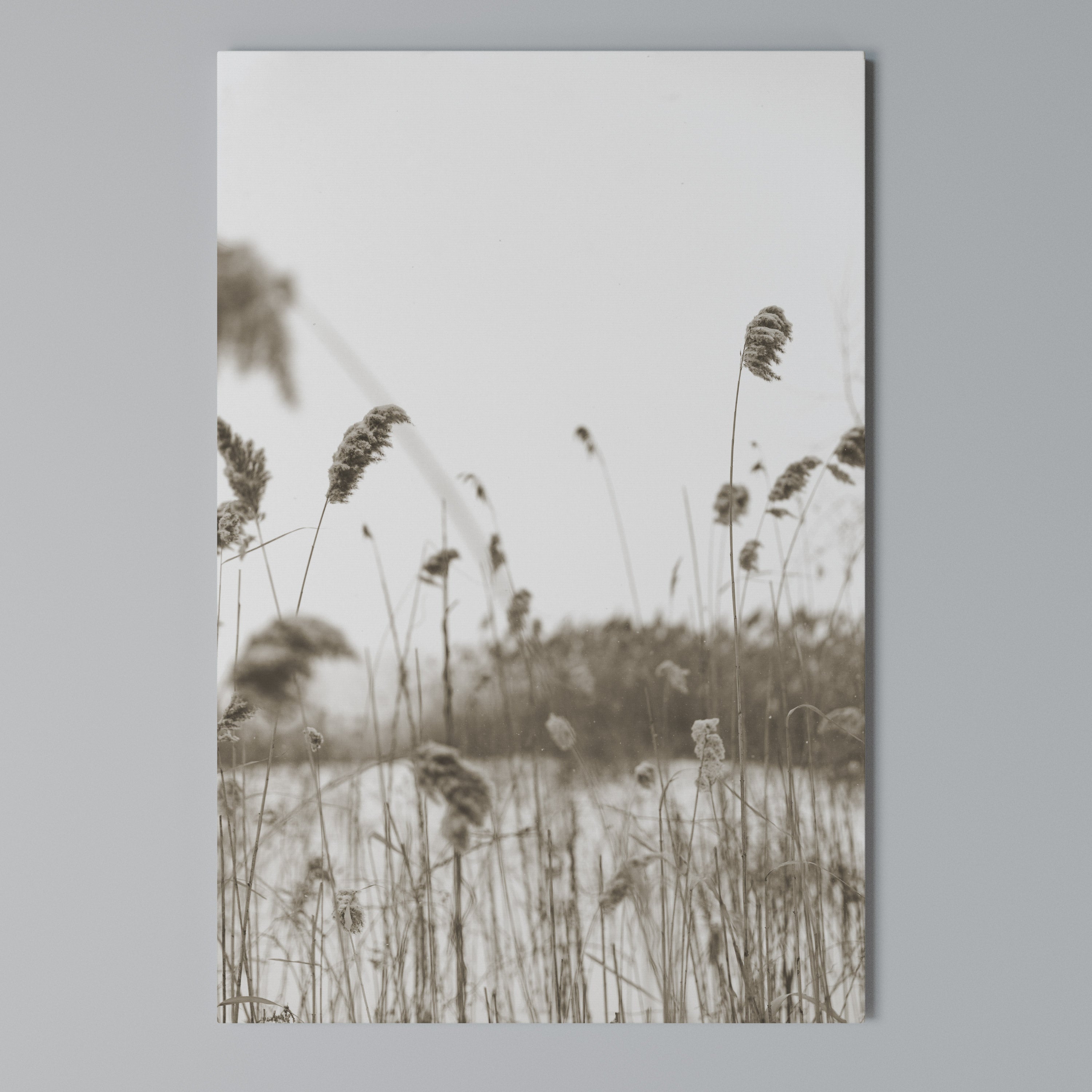 TIMELESS TUSSOCKS Quadro em tela vertical