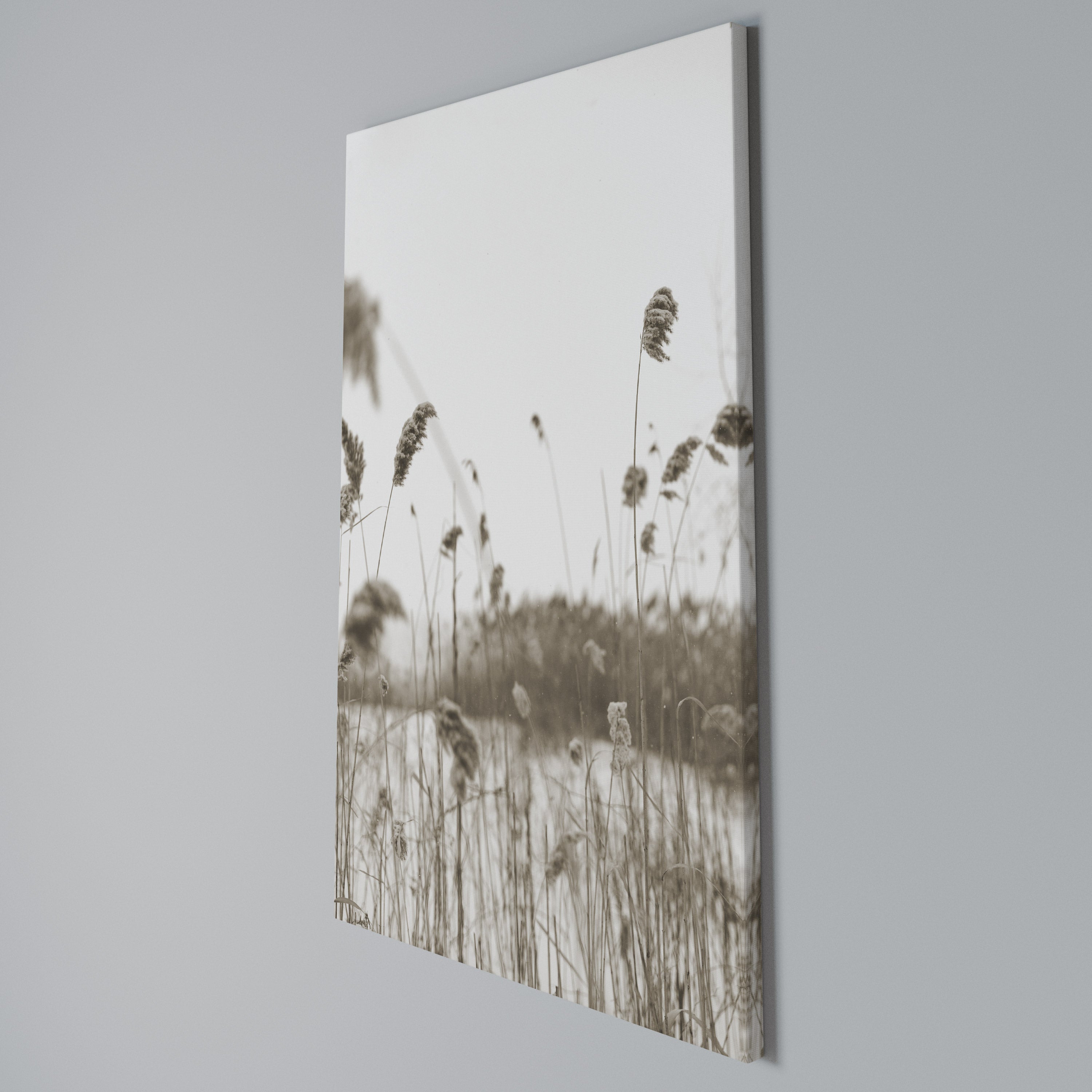 TIMELESS TUSSOCKS Quadro em tela vertical