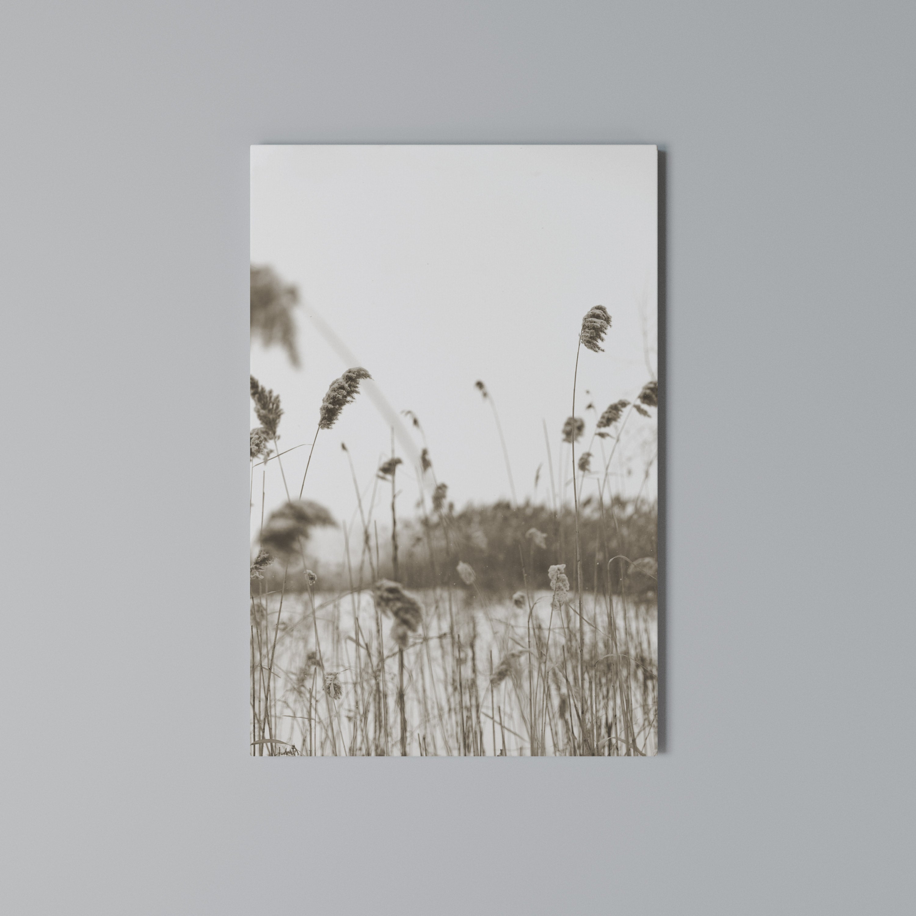 TIMELESS TUSSOCKS Quadro em tela vertical