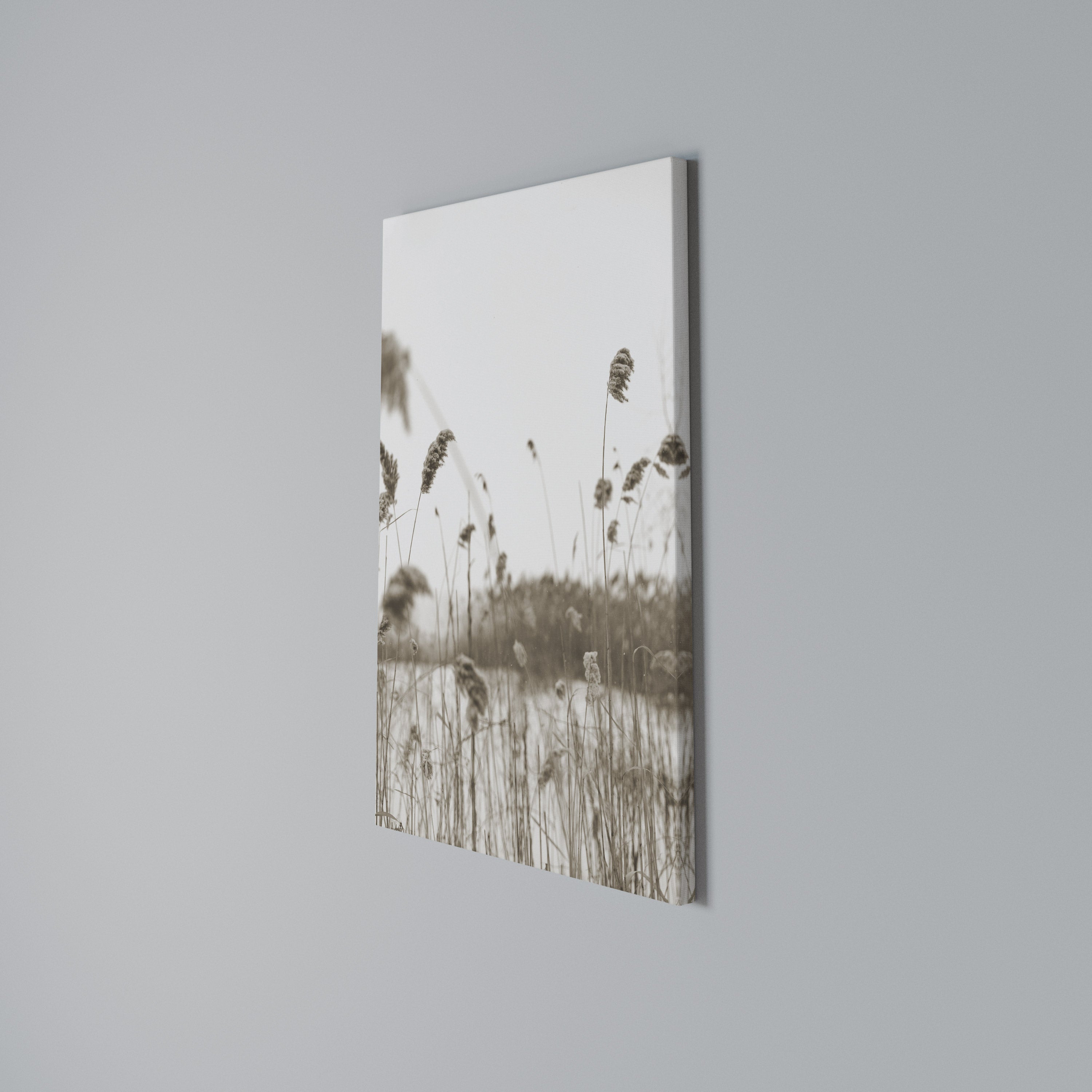 TIMELESS TUSSOCKS Quadro em tela vertical