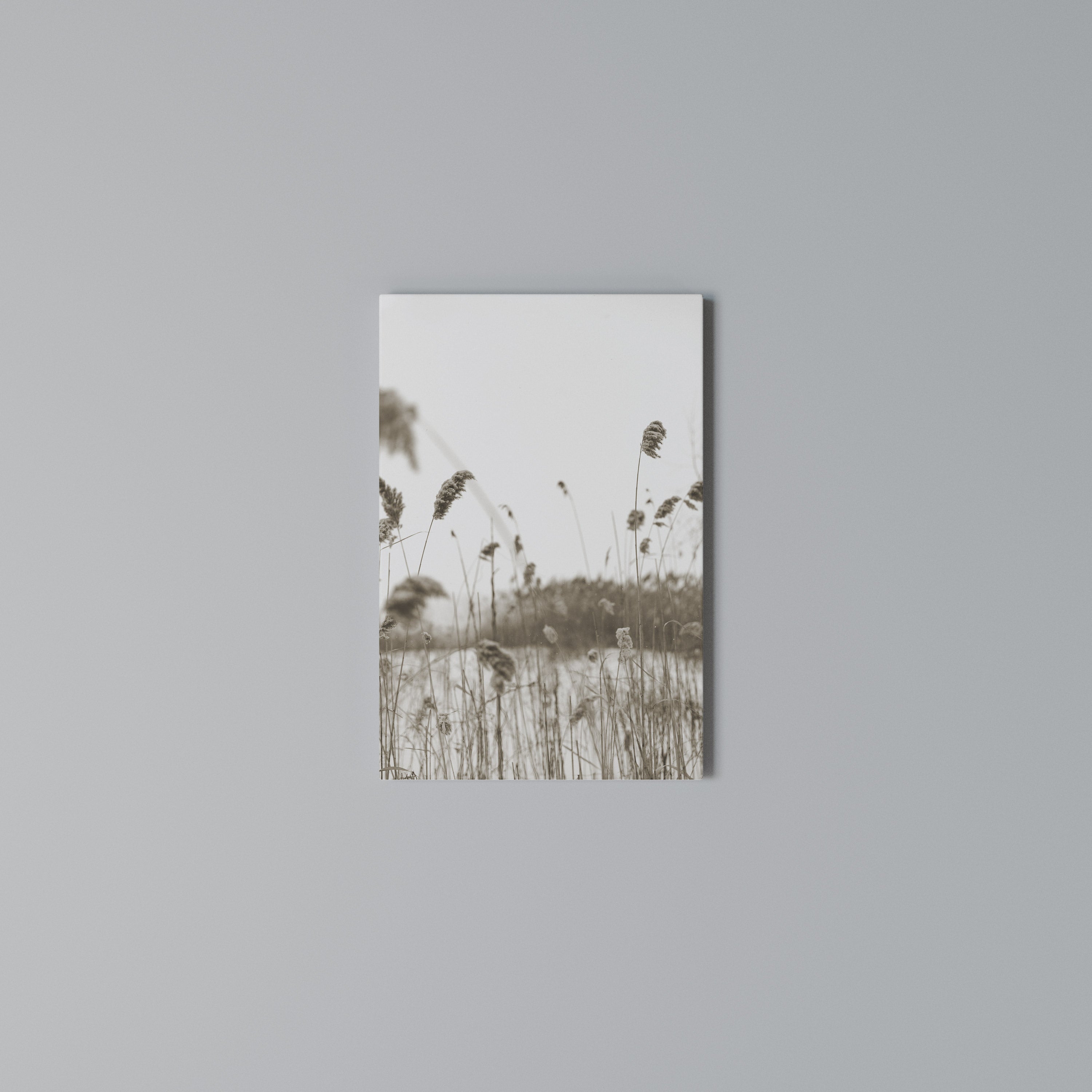 TIMELESS TUSSOCKS Quadro em tela vertical