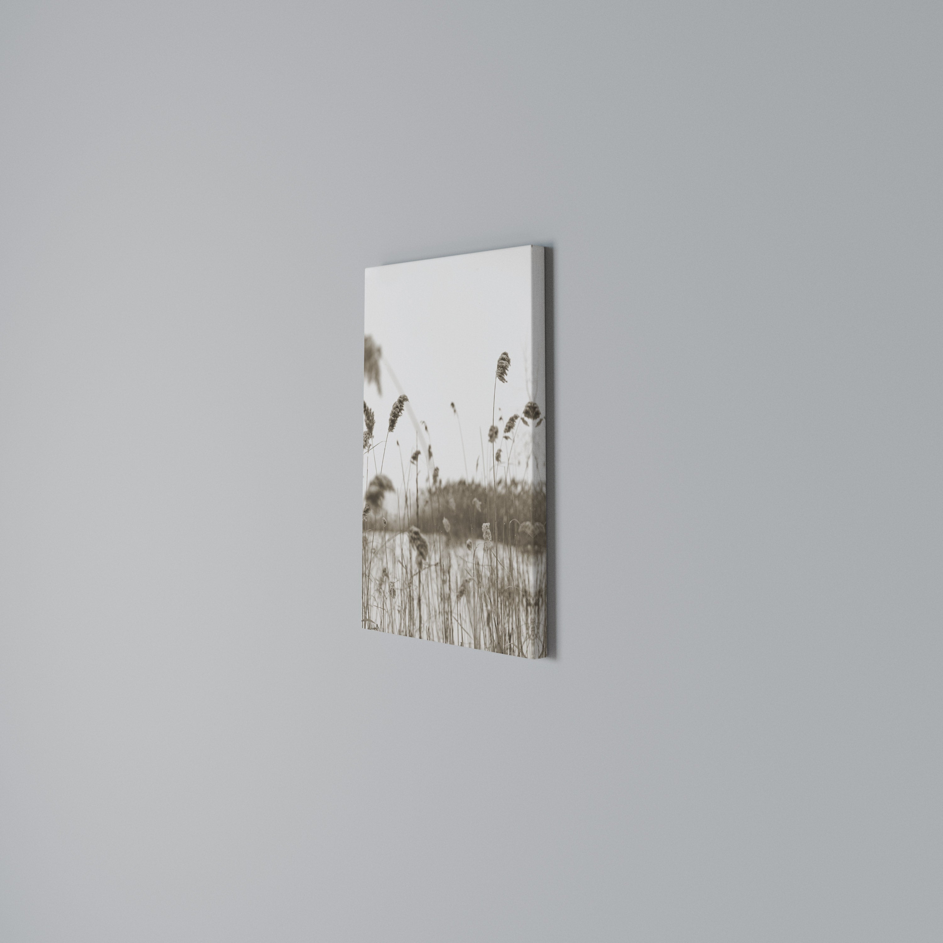 TIMELESS TUSSOCKS Quadro em tela vertical
