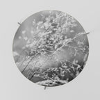 LIGHTSWEPT HARMONY Coffee Table 69