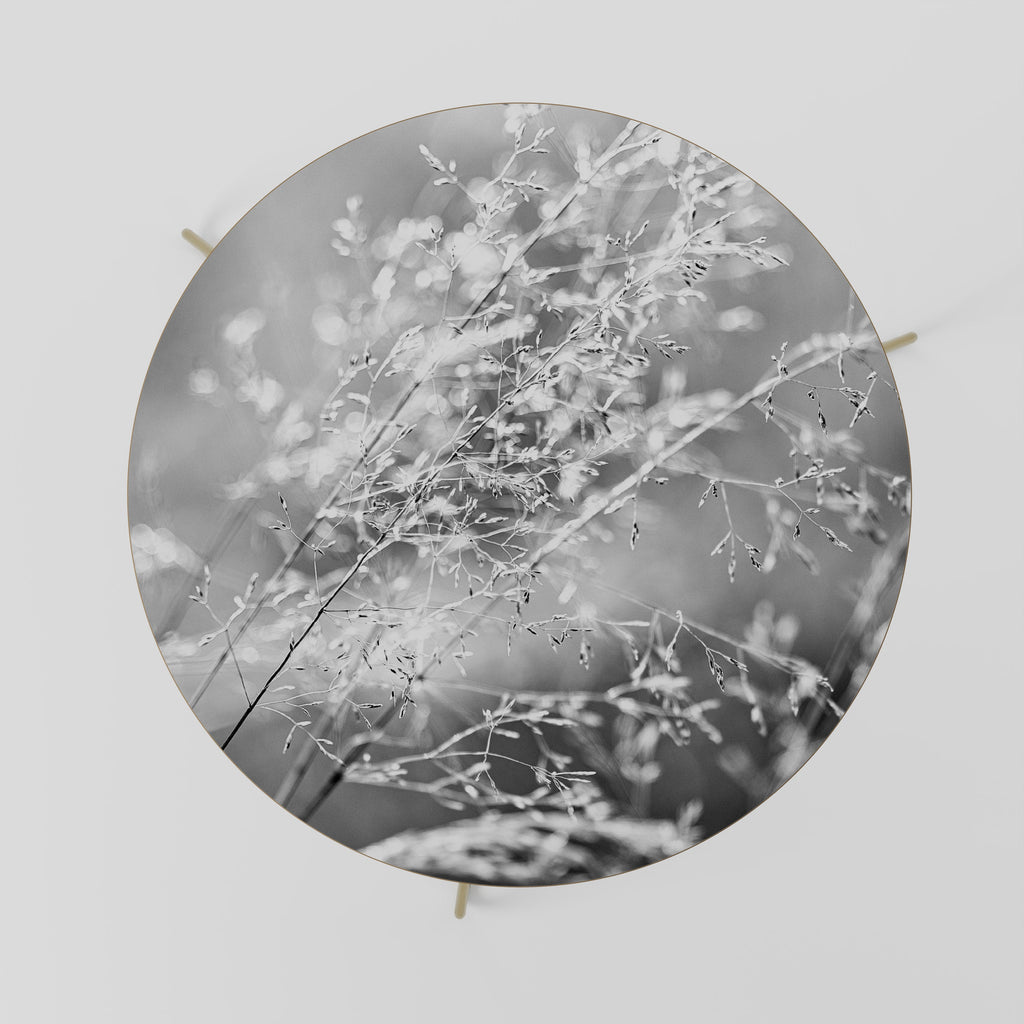 LIGHTSWEPT HARMONY Coffee Table 69