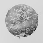 LIGHTSWEPT HARMONY Coffee Table 69